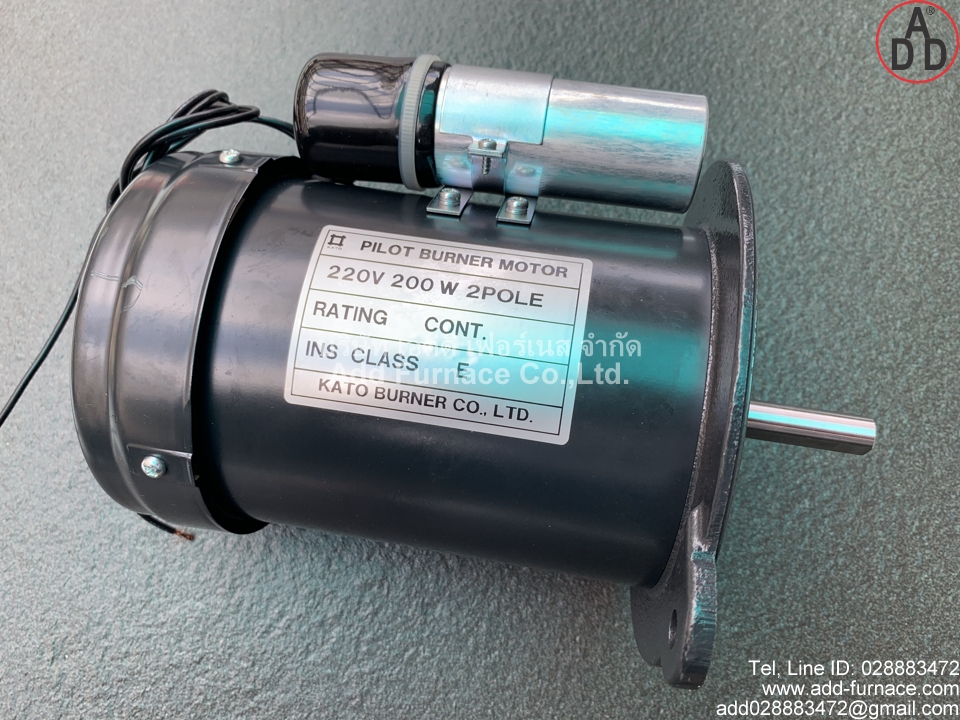 Pilot Burner Motor 220V 200W 2Pole (1)